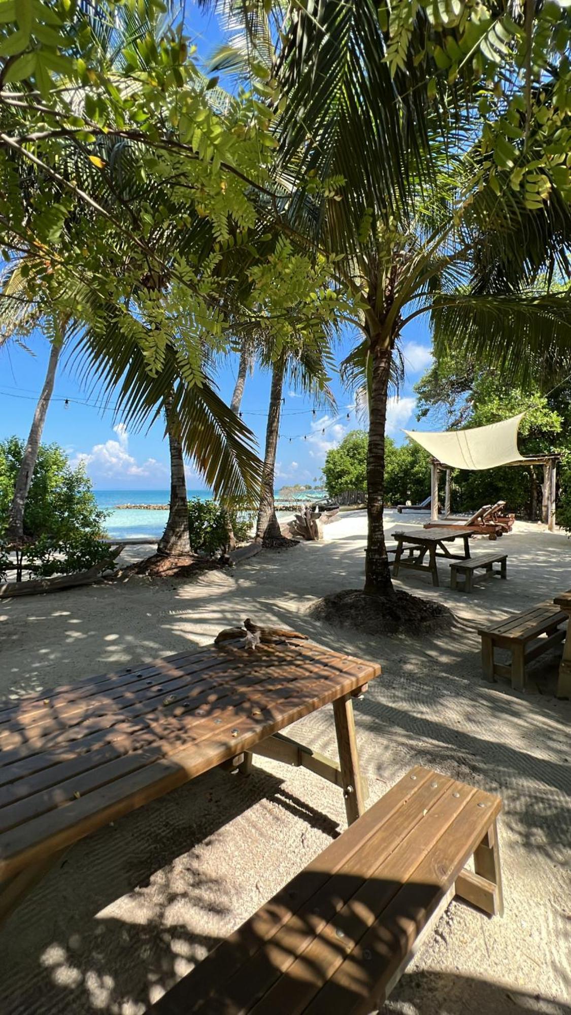 Salsipuedes 4* Tintipan Island